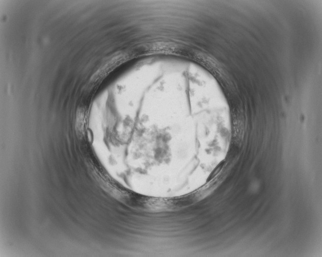 X0000085750142200704131721