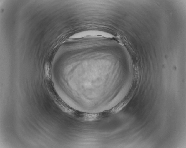 X0000085750143200704131721