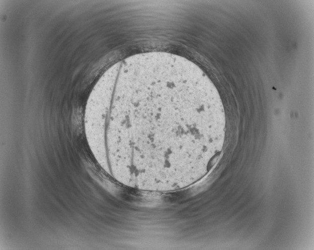 X0000085750144200704131721