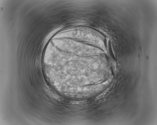 X0000085750147200704131720