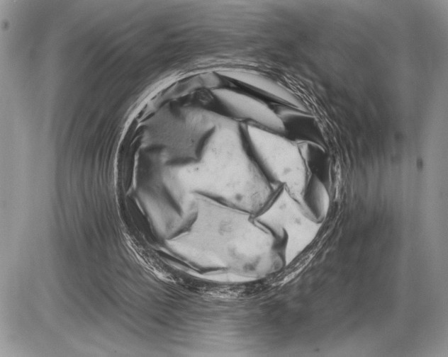 X0000085750148200704131720