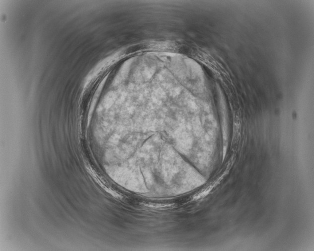 X0000085750149200704131720