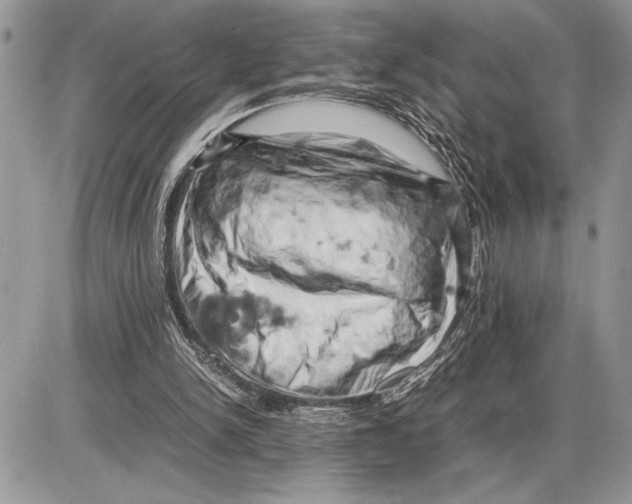 X0000085750150200704131720