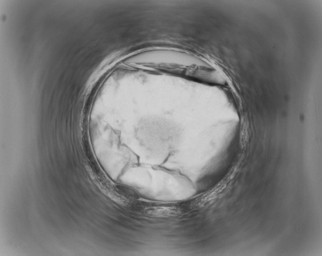 X0000085750151200704131720