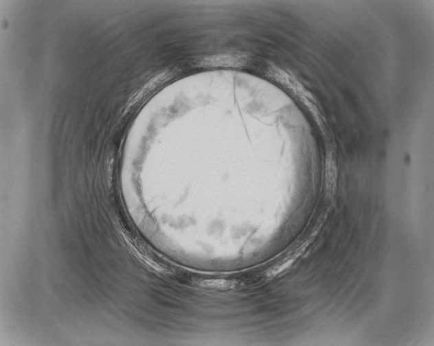 X0000085750153200704131720