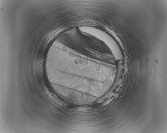 X0000085750154200704131721