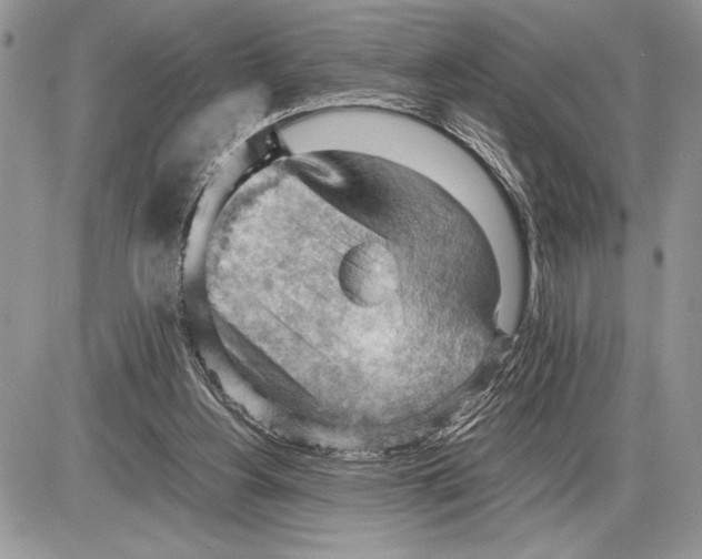 X0000085750156200704131721