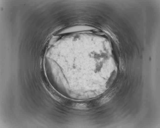 X0000085750157200704131721