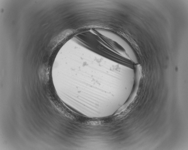 X0000085750160200704131721