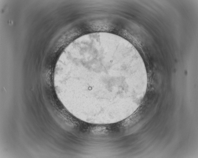 X0000085750162200704131721