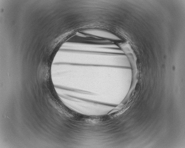 X0000085750164200704131721