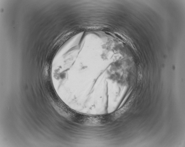 X0000085750166200704131721