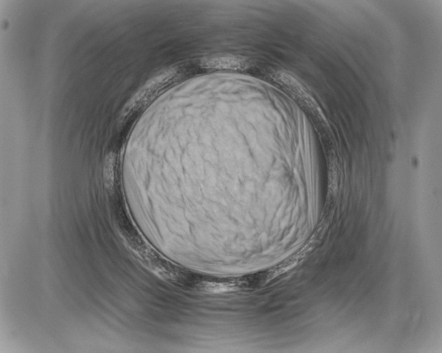 X0000085750167200704131721