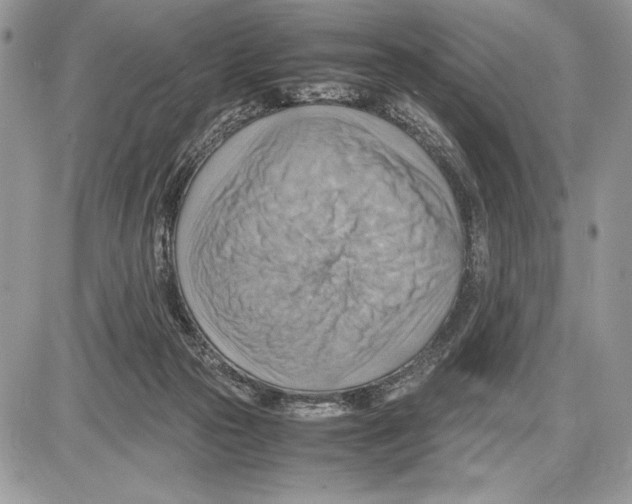 X0000085750169200704131721