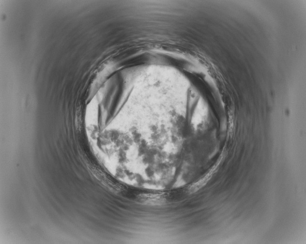 X0000085750170200704131721