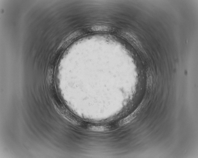 X0000085750171200704131721