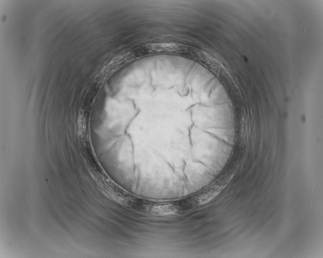 X0000085750173200704131721