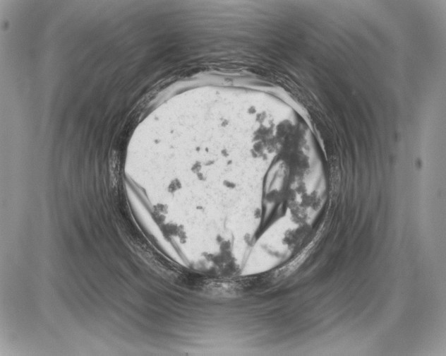 X0000085750174200704131721