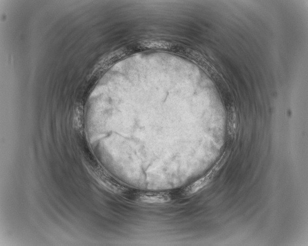 X0000085750175200704131721