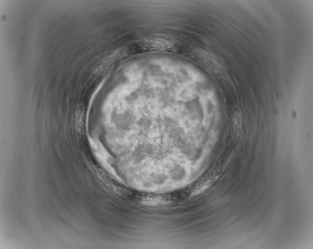 X0000085750177200704131721