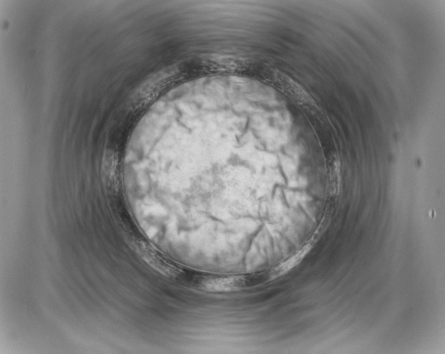 X0000085750178200704131721