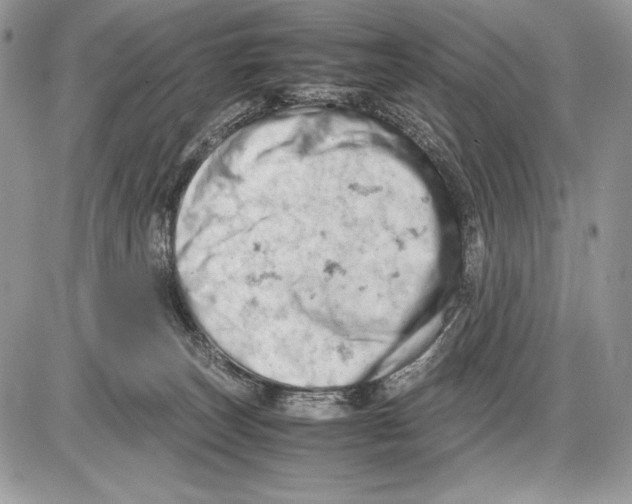 X0000085750179200704131721