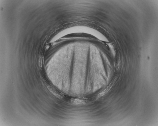 X0000085750180200704131721