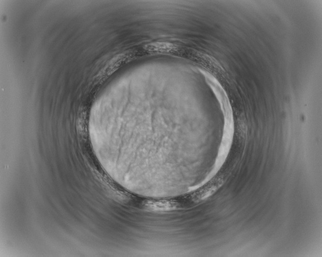 X0000085750181200704131721