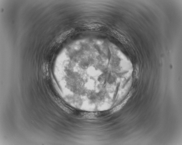 X0000085750182200704131721