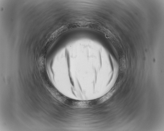 X0000085750184200704131721