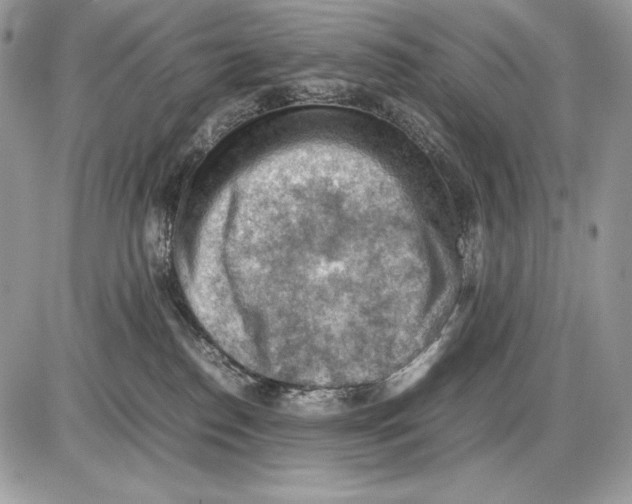 X0000085750186200704131721