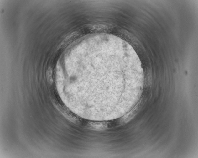 X0000085750187200704131721