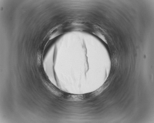 X0000085750188200704131721