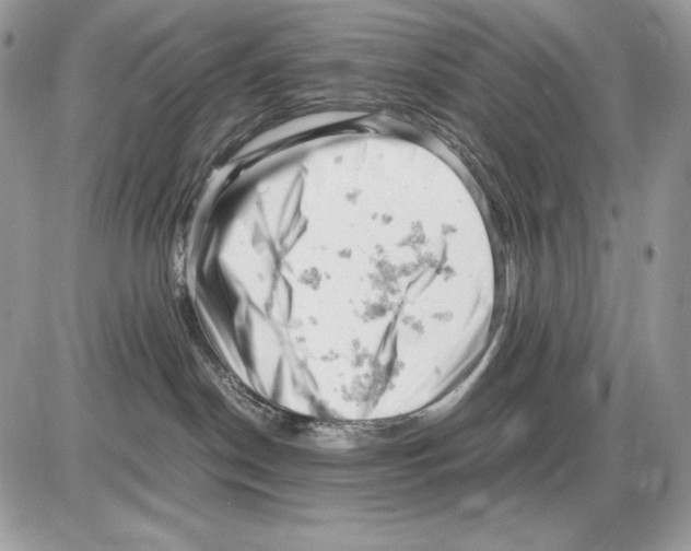 X0000085750190200704131721