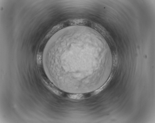 X0000085750191200704131721