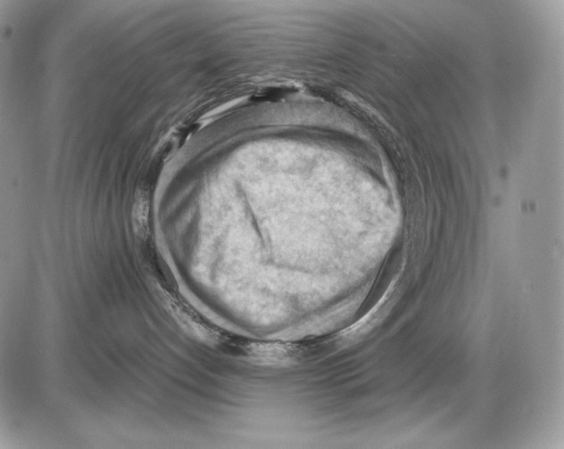 X0000085750192200704131721