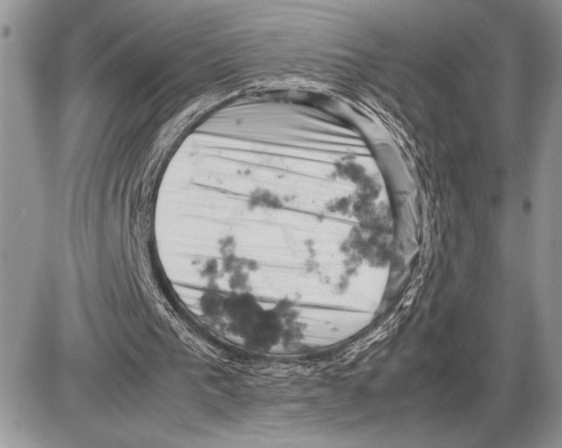 X0000085750193200704131720