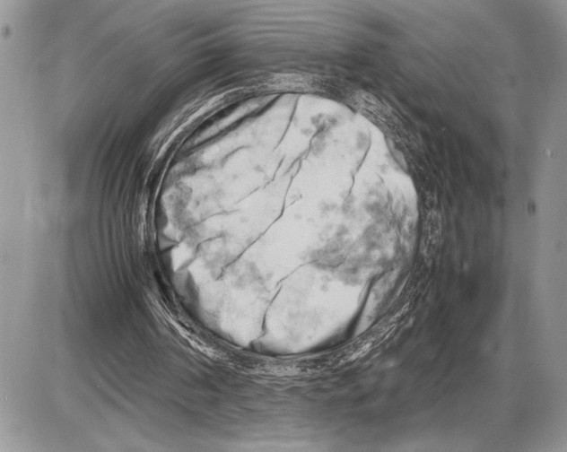 X0000085750194200704131720