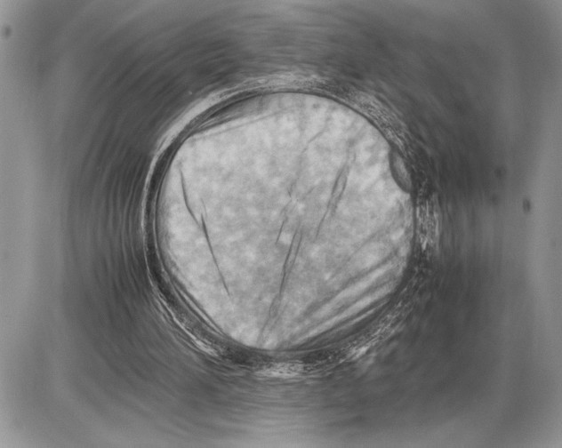 X0000085750196200704131720