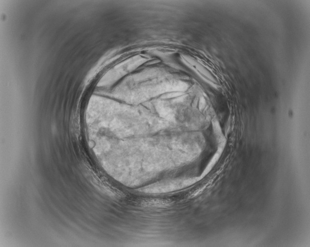 X0000085750198200704131720