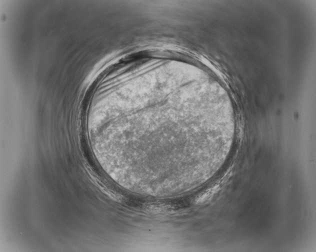 X0000085750199200704131720