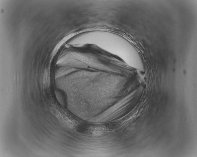 X0000085750200200704131720