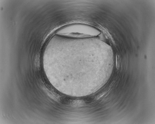 X0000085750204200704131720