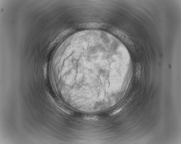 X0000085750206200704131720