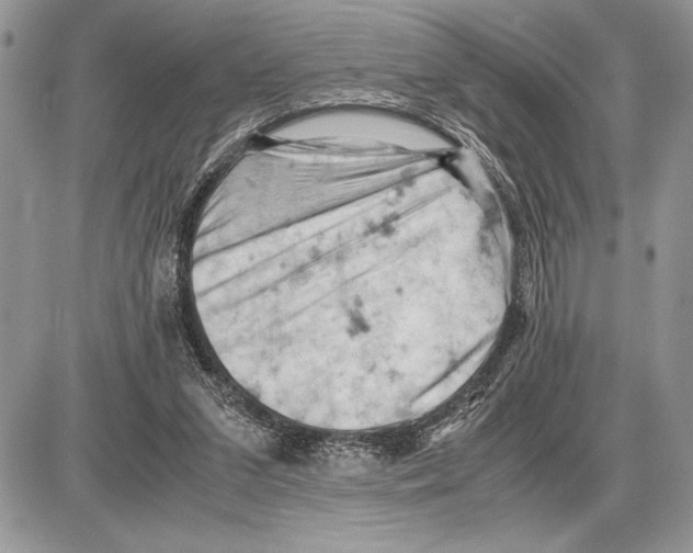 X0000085750207200704131720