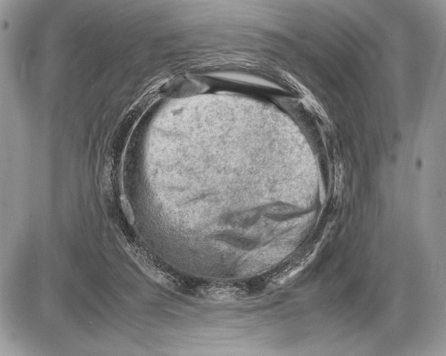 X0000085750209200704131720