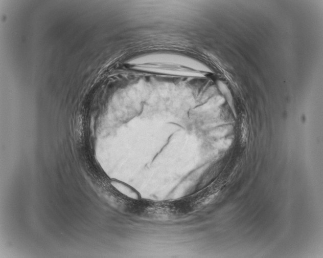 X0000085750211200704131720