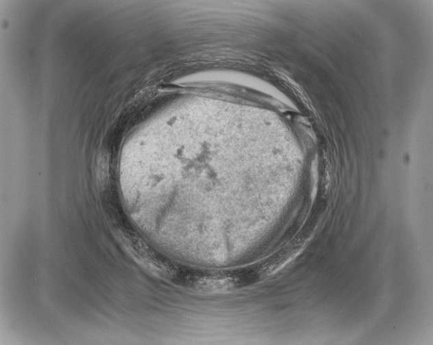 X0000085750213200704131720