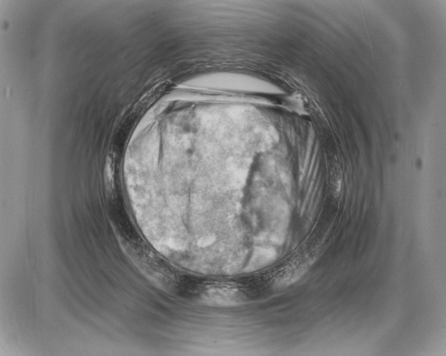 X0000085750214200704131720