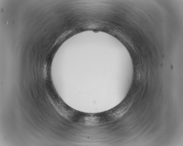 X0000085750216200704131720